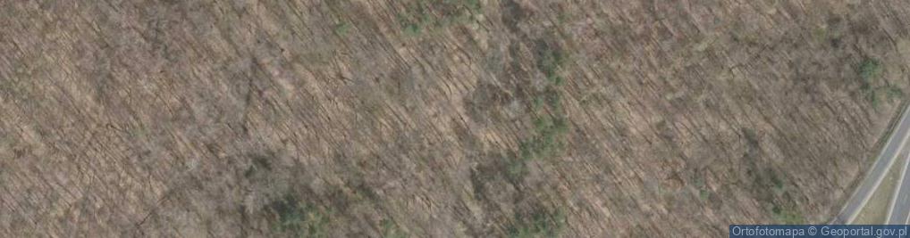 Zdjęcie satelitarne kochbunkier bojowy
