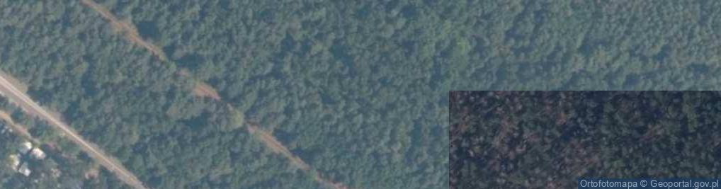 Zdjęcie satelitarne Lekki schron bojowy