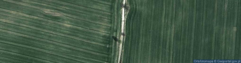 Zdjęcie satelitarne MG Panzernest