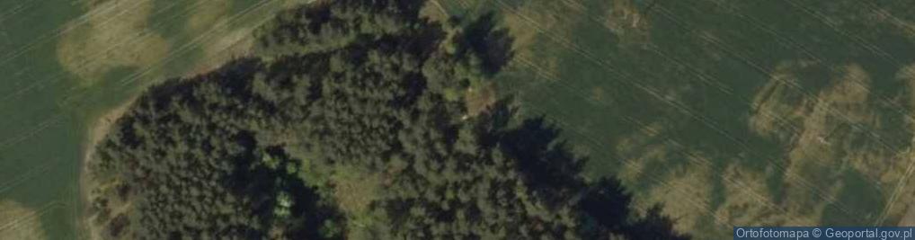 Zdjęcie satelitarne Schron bojowy lewostronny