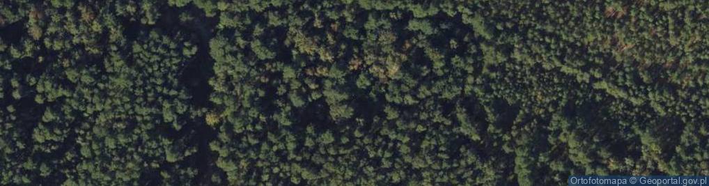 Zdjęcie satelitarne Schron załogi