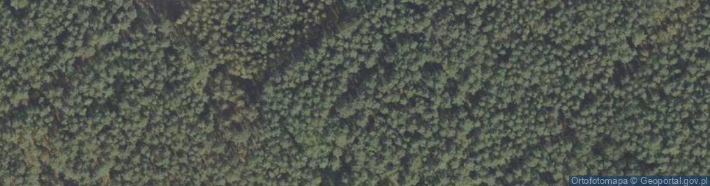 Zdjęcie satelitarne Tradytor dwustronny