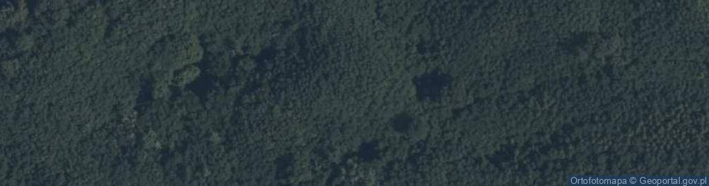 Zdjęcie satelitarne Twierdza Zegrze - Umocnienie duże