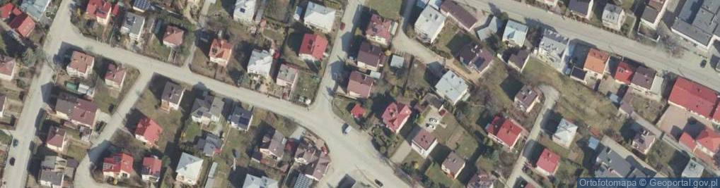 Zdjęcie satelitarne Fundacja Dziedzictwa i Kultury Karpat