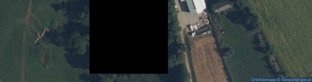 Zdjęcie satelitarne Fundacja, Stowarzyszenie, Związek