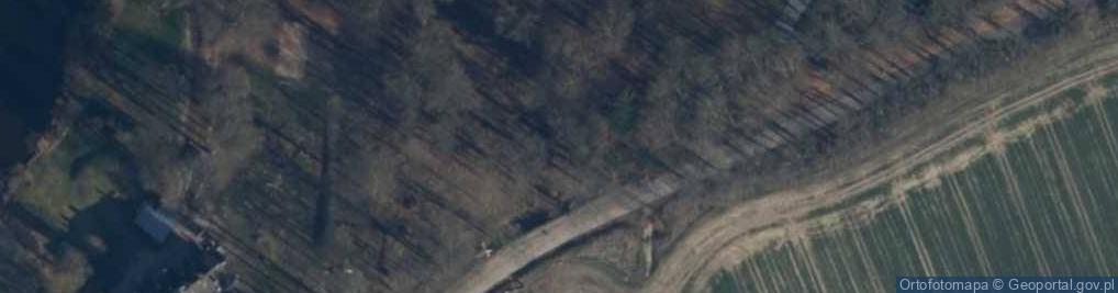 Zdjęcie satelitarne Fundacja Zielony Azyl