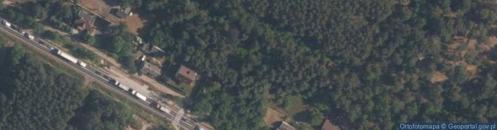 Zdjęcie satelitarne Ośrodek Szkoleniowo Wypoczynkowy TKKF Dzikusy