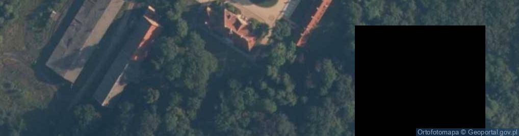 Zdjęcie satelitarne Pałac w Leźnie ***