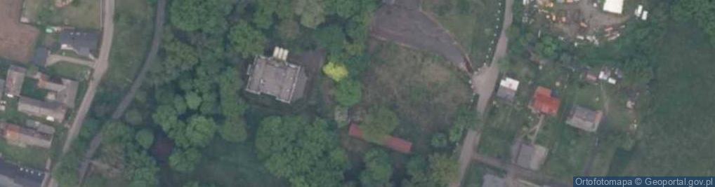 Zdjęcie satelitarne Pałac w Niewodnikach