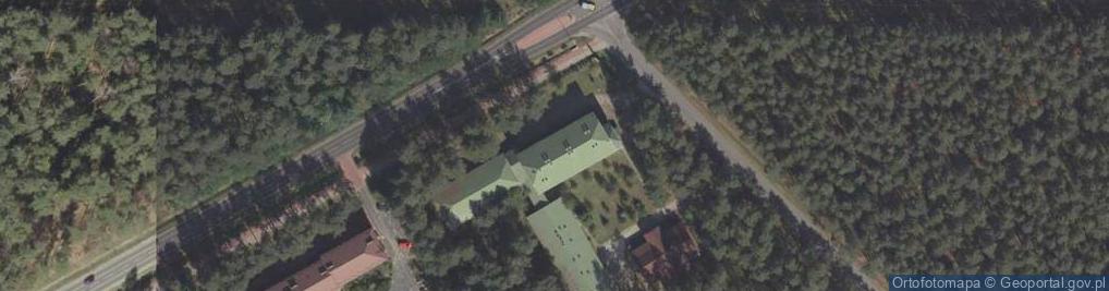 Zdjęcie satelitarne Sosna