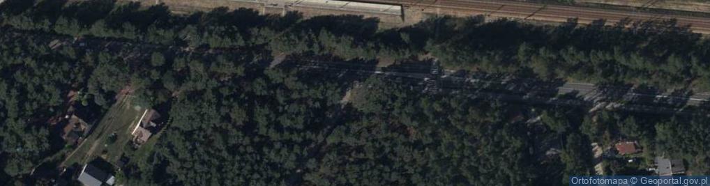 Zdjęcie satelitarne Hydrant