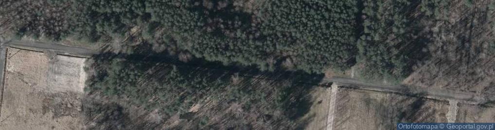 Zdjęcie satelitarne Hydrant