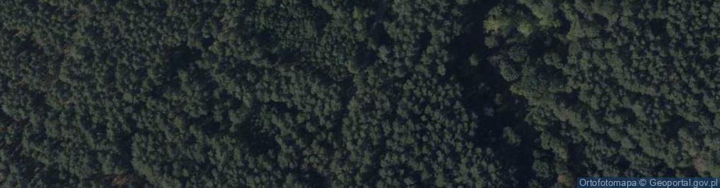 Zdjęcie satelitarne Hydrant