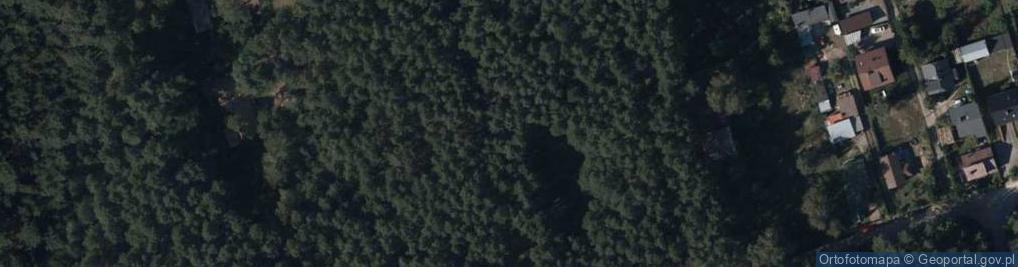 Zdjęcie satelitarne Hydrant