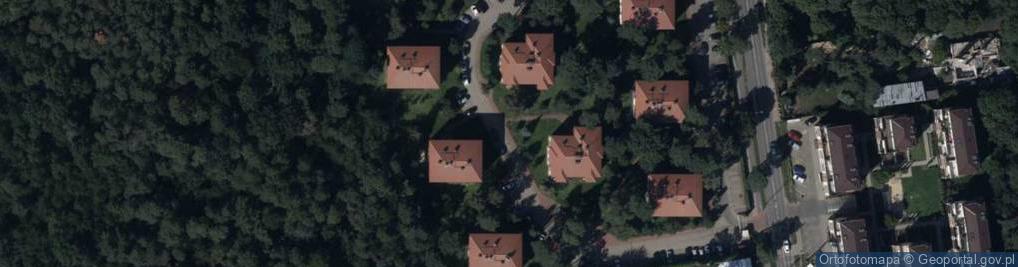 Zdjęcie satelitarne Hydrant