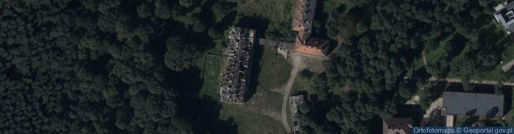 Zdjęcie satelitarne Hydrant