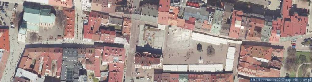 Zdjęcie satelitarne Punkt Informacji Turystycznej przy schronisku PTSM w Rzeszowie