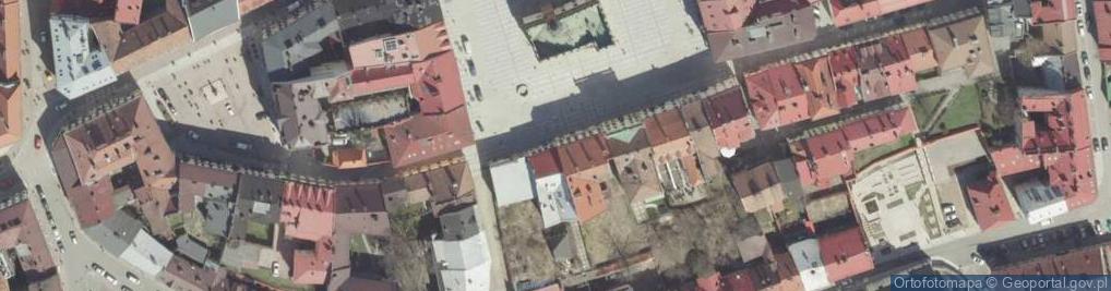 Zdjęcie satelitarne Tarnowskie Centrum Informacji