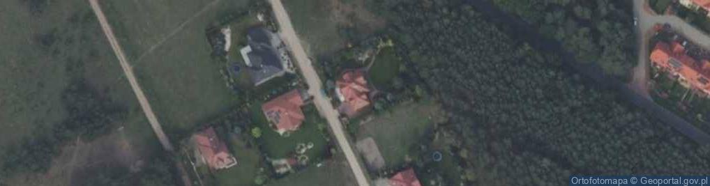 Zdjęcie satelitarne Pixel