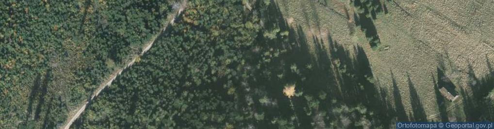 Zdjęcie satelitarne Beskid, Beskid Śląski