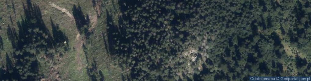 Zdjęcie satelitarne Cisowa Turnia