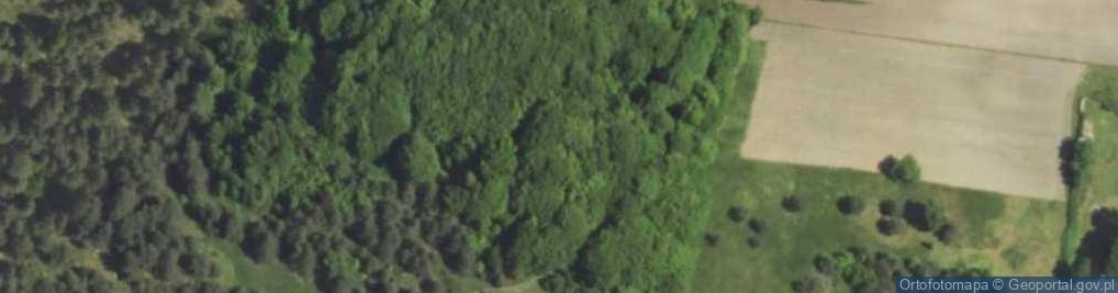 Zdjęcie satelitarne Dupka