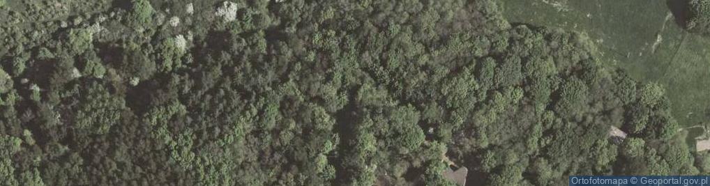 Zdjęcie satelitarne Góra Winnica