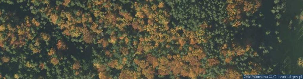 Zdjęcie satelitarne Holica, Beskid Sądecki