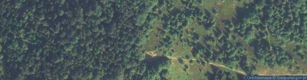 Zdjęcie satelitarne Jaworzynka, Gorce