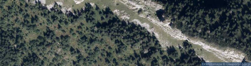 Zdjęcie satelitarne Jaworzyńska Czuba