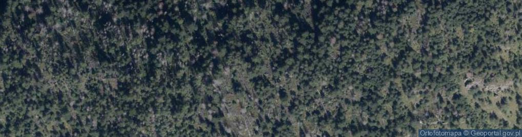 Zdjęcie satelitarne Jaworzyński Przysłop