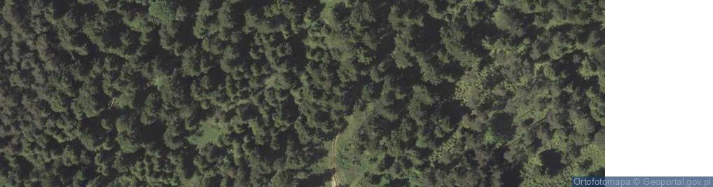 Zdjęcie satelitarne Kiczora