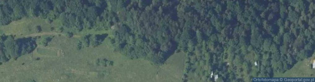 Zdjęcie satelitarne Niżny Groń