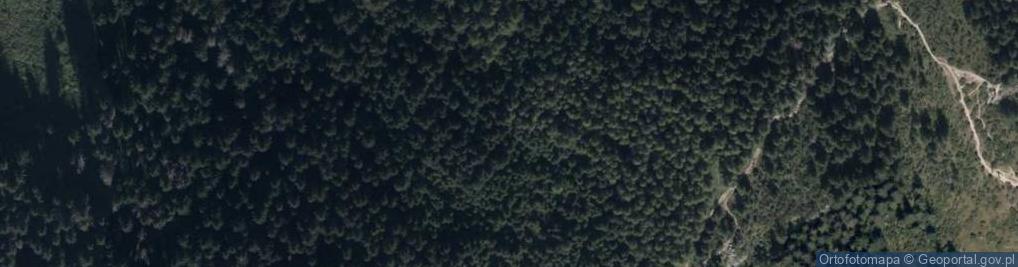 Zdjęcie satelitarne Wielki Kopieniec