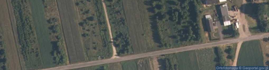 Zdjęcie satelitarne Adamów (powiat radomszczański)