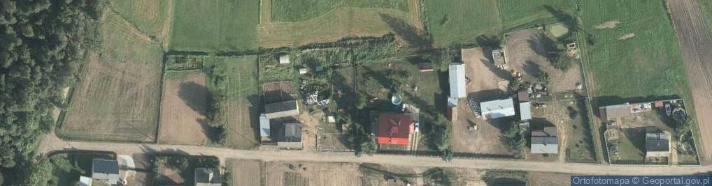 Zdjęcie satelitarne Adamowo (powiat sępoleński)