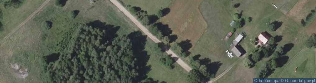 Zdjęcie satelitarne Aleksandrówka (gmina Krynki)