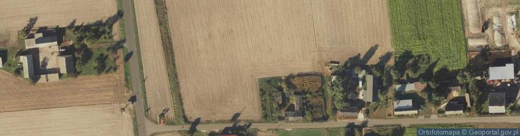 Zdjęcie satelitarne Anielin (powiat włocławski)