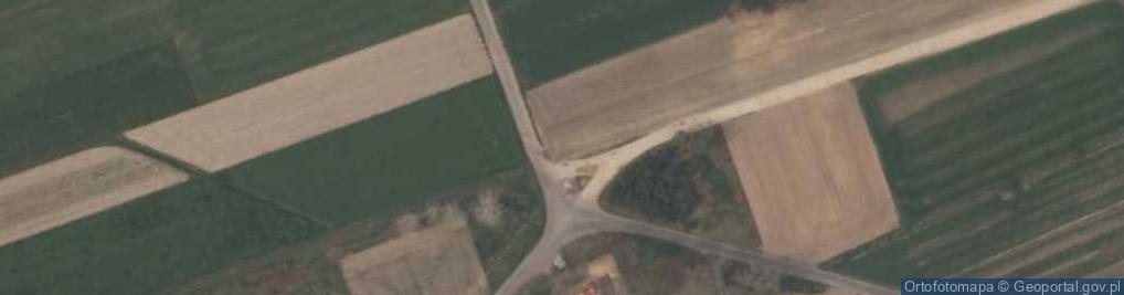 Zdjęcie satelitarne Antonina (powiat bełchatowski)