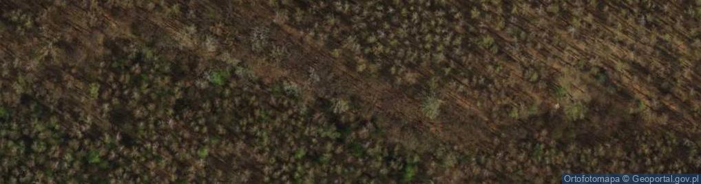 Zdjęcie satelitarne Antoninek (województwo mazowieckie)