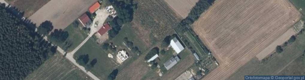 Zdjęcie satelitarne Badowo-Dańki