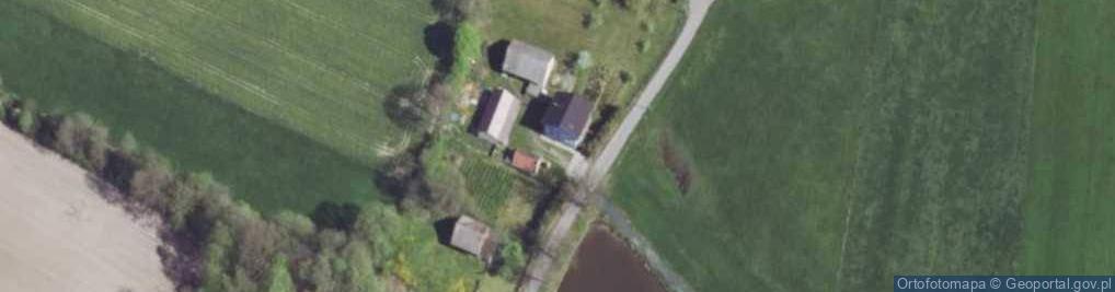 Zdjęcie satelitarne Bąki (województwo opolskie)