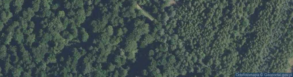 Zdjęcie satelitarne Barania Góra (Góry Świętokrzyskie)