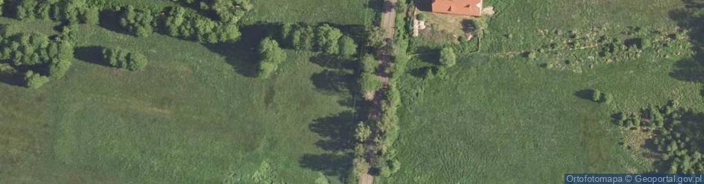 Zdjęcie satelitarne Baranowice (województwo lubuskie)