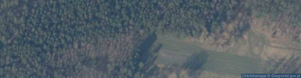 Zdjęcie satelitarne Białcz (powiat policki)