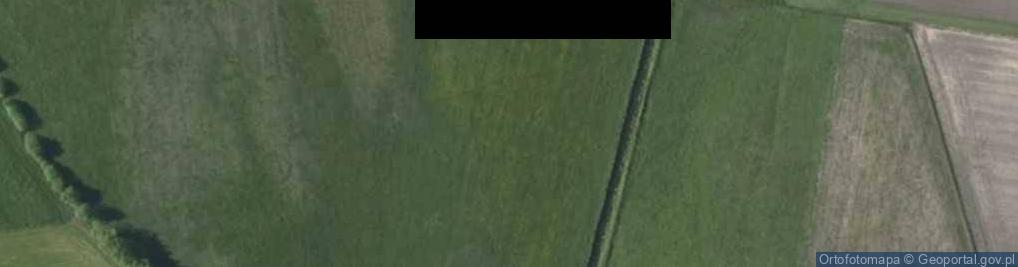 Zdjęcie satelitarne Biały Grunt