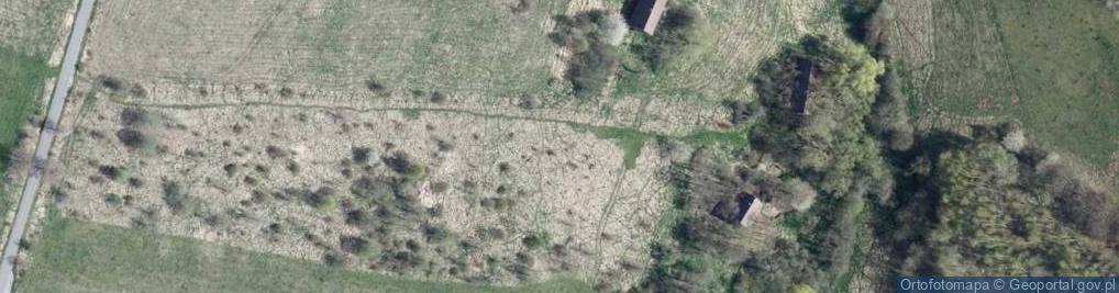 Zdjęcie satelitarne Bieganów (województwo dolnośląskie)