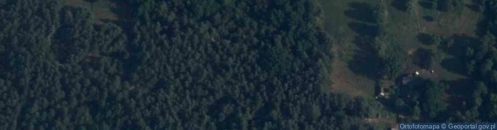 Zdjęcie satelitarne Bieliny (gmina Młodzieszyn)