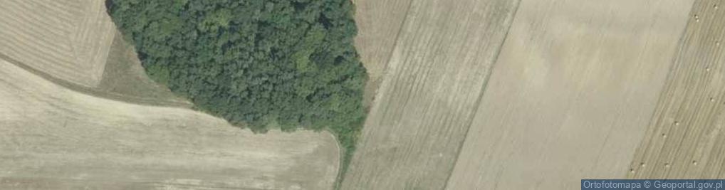 Zdjęcie satelitarne Bitwa pod Racławicami
