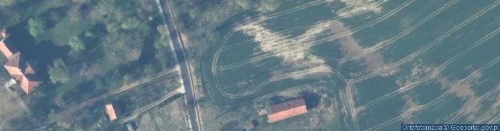 Zdjęcie satelitarne Bogatyńskie